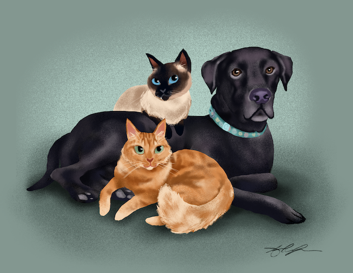 Murphy, Little Red & Topol